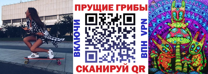 Галлюциногенные грибы Psilocybe где купить Добрянка